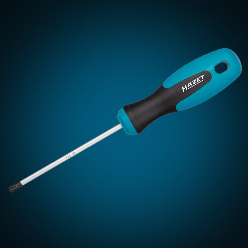 810-T25 TORX®ドライバー T25