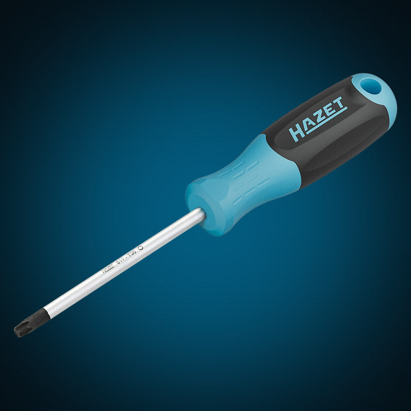 811-T30 ドライバーTORX® T30