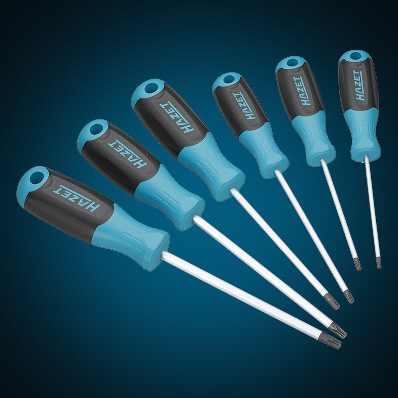 ハゼット(HAZET) 6 TORXスクリュードライバーセット 6本組 811T